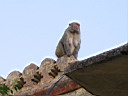 14_che 00289.JPG