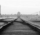 Surviving Auschwitz - Train Tracks.jpg