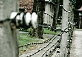 pict008.jpg