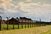 pict019.jpg